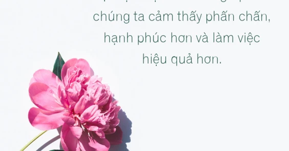 CẦN MANG GÌ KHI ĐI DU LỊCH